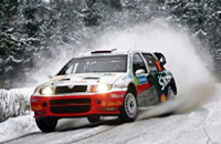 rys. Auto rajdowe 2